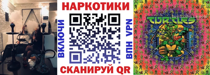 Где купить наркоту Грайворон Alpha PVP  Галлюциногенные грибы  Гашиш  МЕФ 