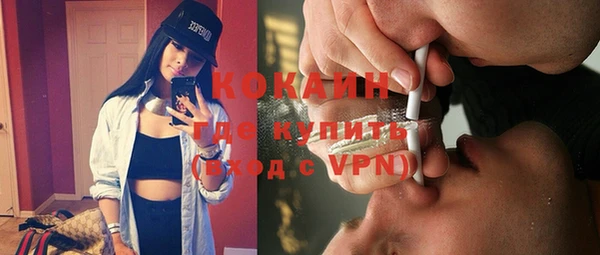 шишки Вязьма
