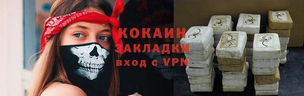 шишки Вязьма