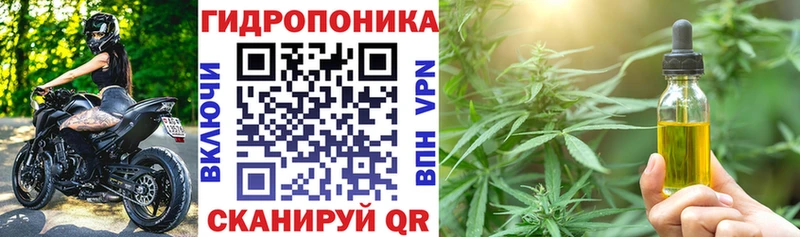 Шишки марихуана план как найти наркотики OMG зеркало Грайворон